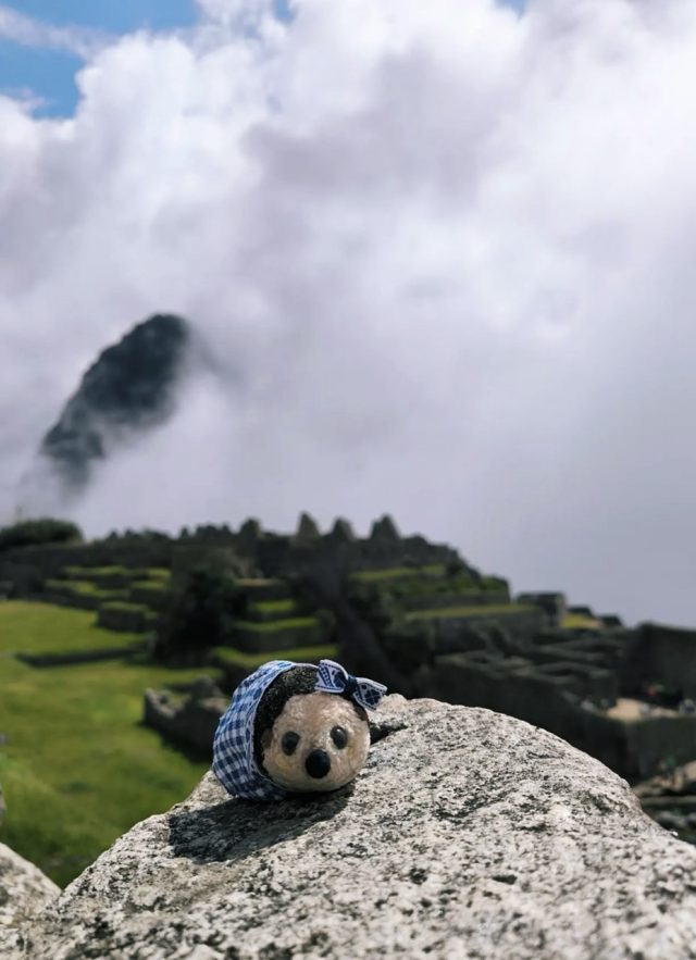 Hand-painted penguin stone #85 hidden at Machu Picchu, Andes Mountains, Peru (photo 2 of 5)