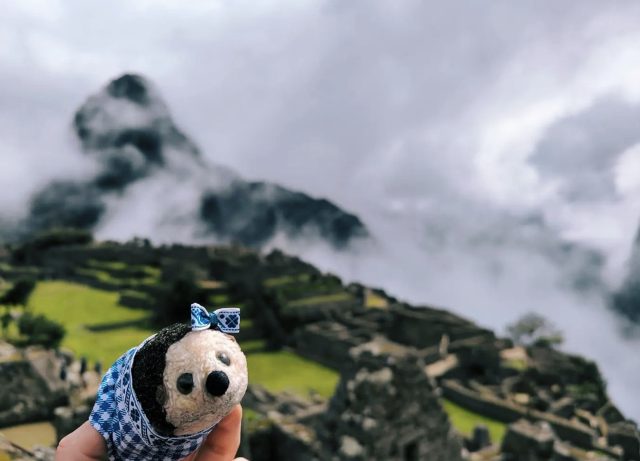 Hand-painted penguin stone #85 hidden at Machu Picchu, Andes Mountains, Peru (photo 3 of 5)