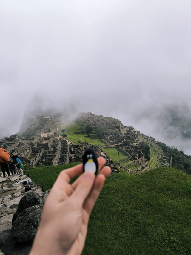 Hand-painted penguin stone #85 hidden at Machu Picchu, Andes Mountains, Peru (photo 4 of 5)