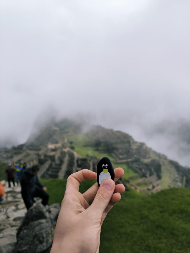 Hand-painted penguin stone #85 hidden at Machu Picchu, Andes Mountains, Peru (photo 5 of 5)