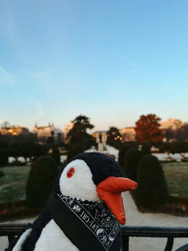 Hand-painted penguin stone #87 hidden at Monumento al Doctor Benavente, Madrid, Spain (photo 5 of 5)