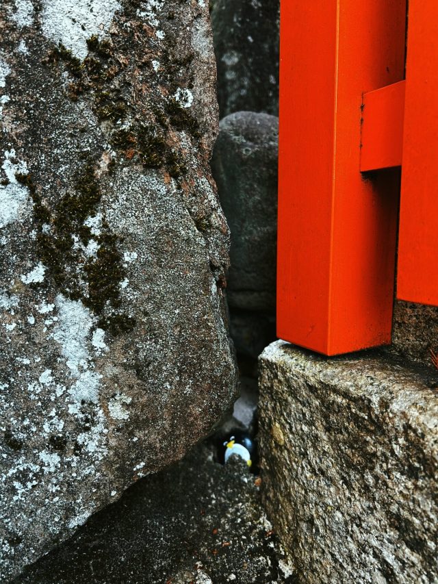Hand-painted penguin stone #89 hidden at Fushimi Inari Taisha, Kyoto, Japan (photo 4 of 5)