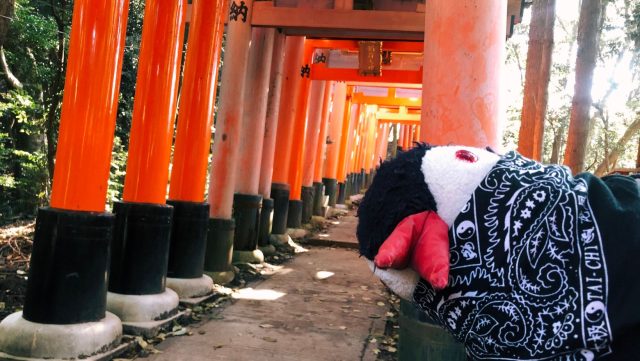 Hand-painted penguin stone #89 hidden at Fushimi Inari Taisha, Kyoto, Japan