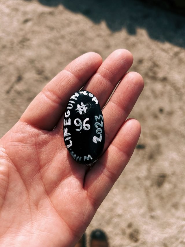 Hand-painted penguin stone #96 hidden at Miyajima Island, Itsukushima, Japan (photo 2 of 5)