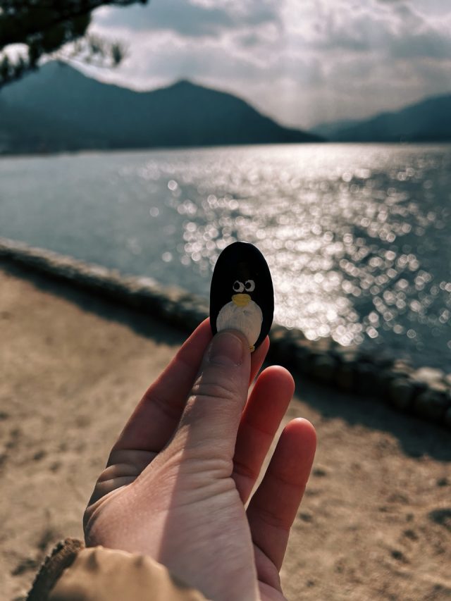 Hand-painted penguin stone #96 hidden at Miyajima Island, Itsukushima, Japan (photo 5 of 5)
