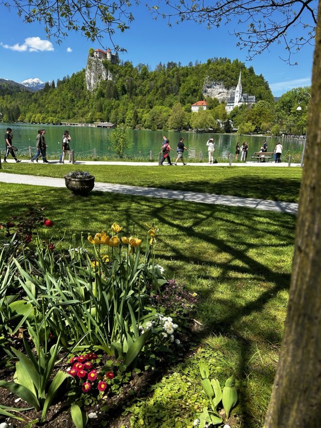 Hand-painted penguin stone #97 hidden at Bled Lake, Bled, Slovenia (photo 3 of 5)