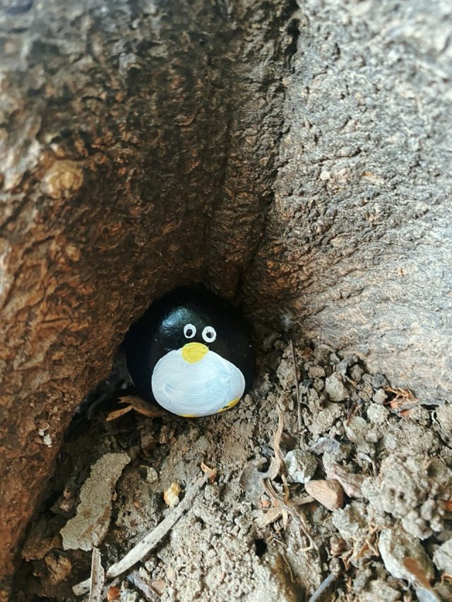 Hand-painted penguin stone #106 hidden at Palermo Rose Garden, Palermo, Argentina (photo 4 of 4)