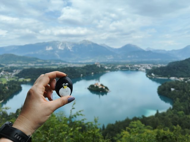 Hand-painted penguin stone #123 hidden at Osojnica, Bled, Slovenia (photo 2 of 5)