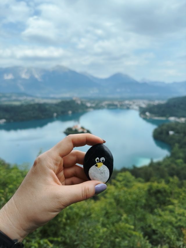 Hand-painted penguin stone #123 hidden at Osojnica, Bled, Slovenia (photo 3 of 5)