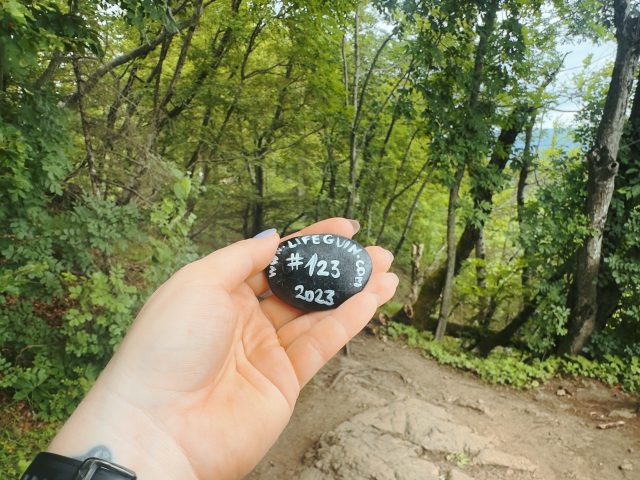 Hand-painted penguin stone #123 hidden at Osojnica, Bled, Slovenia (photo 5 of 5)