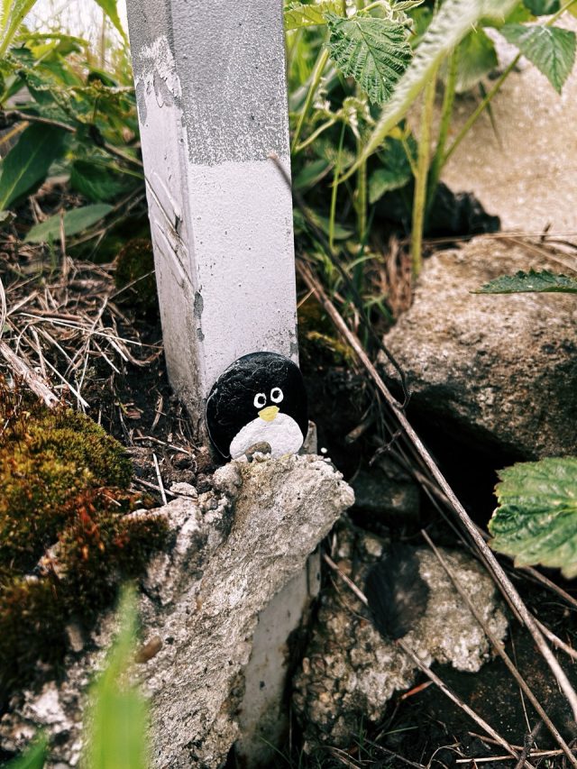 Hand-painted penguin stone #124 hidden at Skalka, Kremnica, Slovakia (photo 5 of 5)