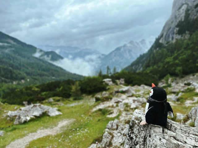 Hand-painted penguin stone #134 hidden at Vrsic, Julian Alps, Slovenia (photo 2 of 4)