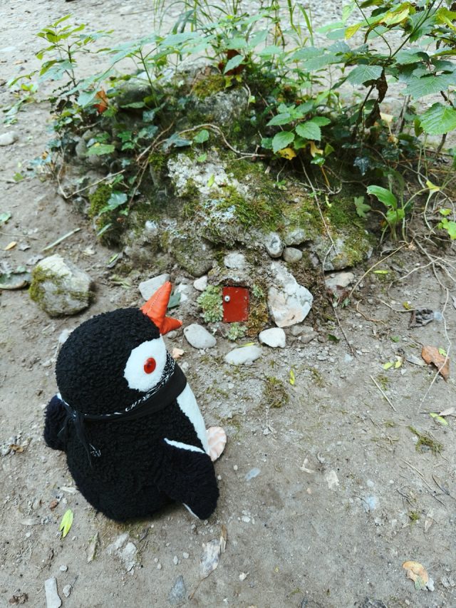 Hand-painted penguin stone #135 hidden at Under the bridge, Kranj, Slovenia (photo 2 of 5)