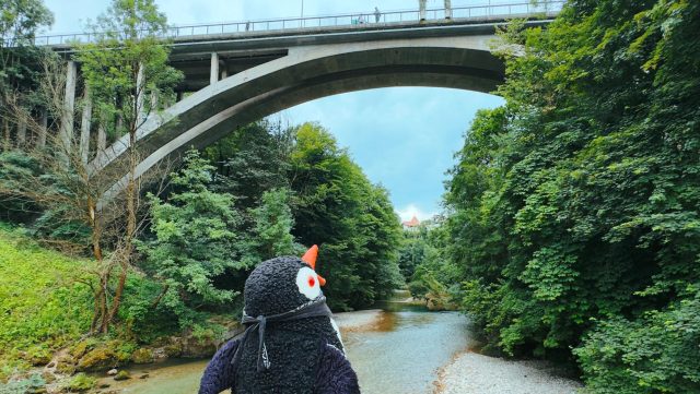 Ručne maľovaný tučniakový kameň č. 135 ukrytý na mieste Under the bridge, Kranj, Slovinsko