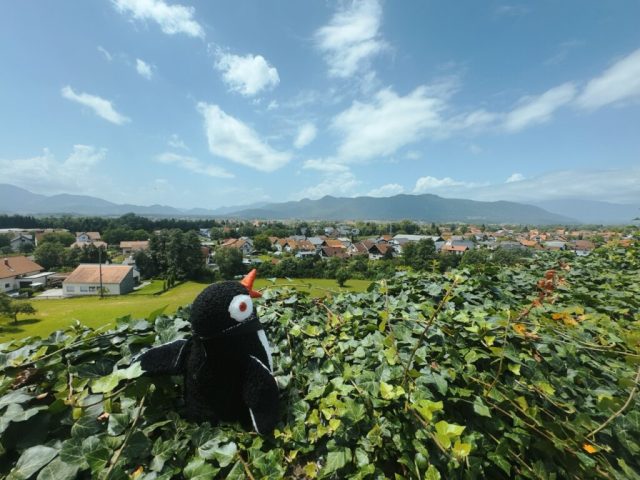Hand-painted penguin stone #138 hidden at Komenda Castle, Polzela, Slovenia (photo 4 of 5)