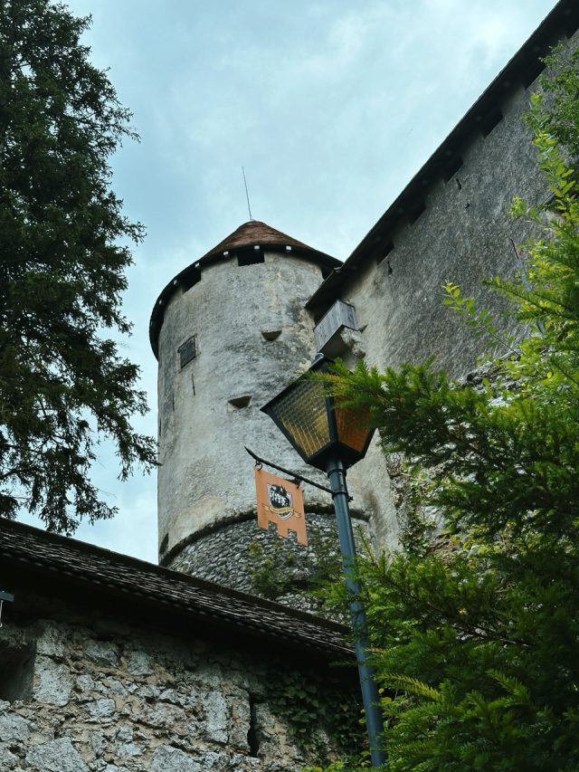 Hand-painted penguin stone #139 hidden at Bled Castle, Bled, Slovenia (photo 3 of 5)