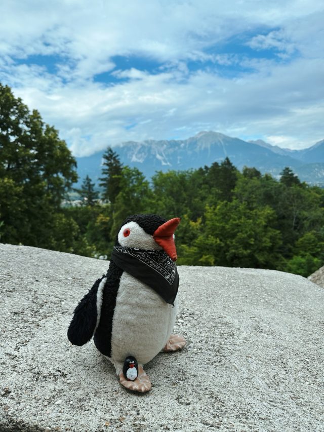 Hand-painted penguin stone #139 hidden at Bled Castle, Bled, Slovenia (photo 4 of 5)