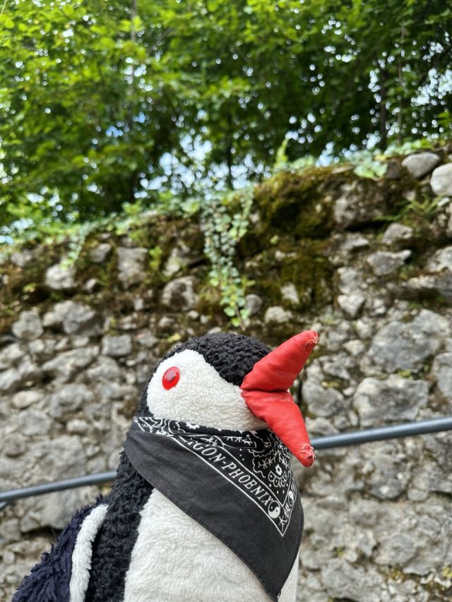 Hand-painted penguin stone #139 hidden at Bled Castle, Bled, Slovenia (photo 5 of 5)