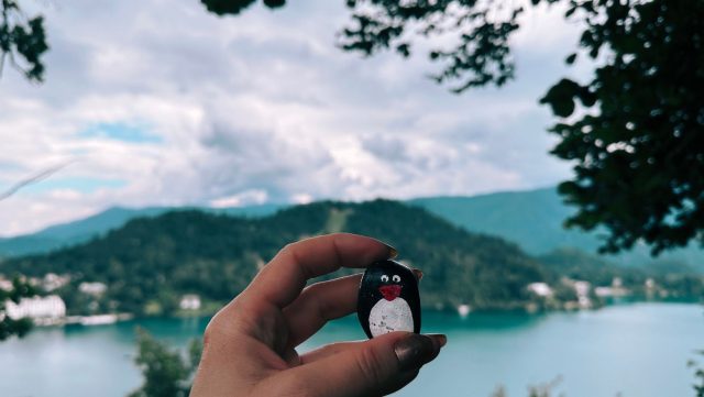 Hand-painted penguin stone #139 hidden at Bled Castle, Bled, Slovenia