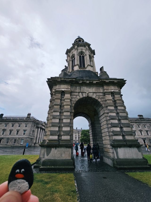 Hand-painted penguin stone #146 hidden at Trinity College, Dublin, Ireland (photo 4 of 5)