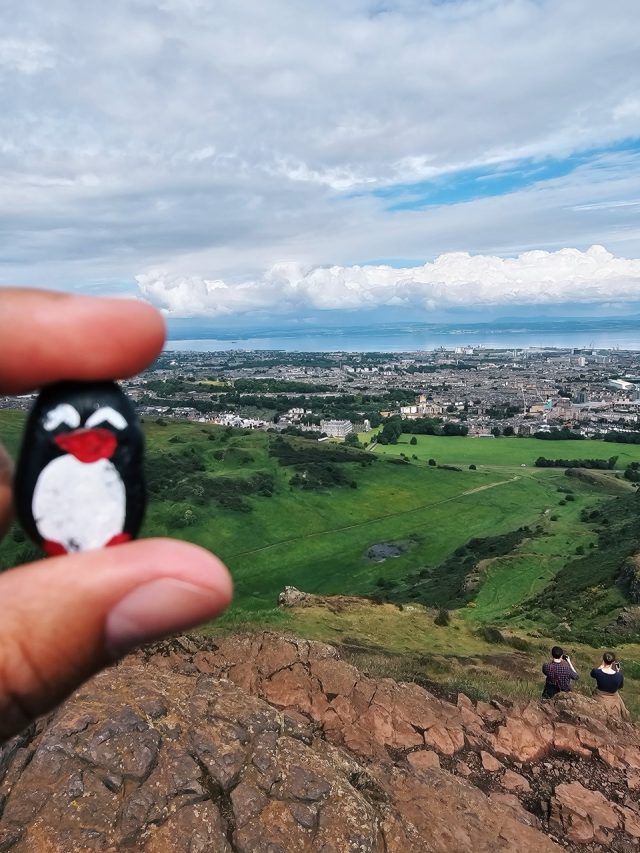 Hand-painted penguin stone #147 hidden at Arthur's Seat, Edinburgh, United Kingdom (photo 4 of 5)
