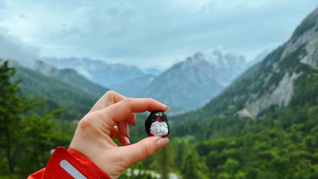 Hand-painted penguin stone #152 hidden at Vintgar Gorge, Gorje, Slovenia (photo 2 of 5)