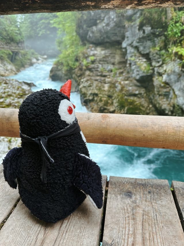 Hand-painted penguin stone #152 hidden at Vintgar Gorge, Gorje, Slovenia (photo 4 of 5)