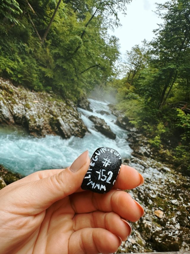 Hand-painted penguin stone #152 hidden at Vintgar Gorge, Gorje, Slovenia (photo 5 of 5)