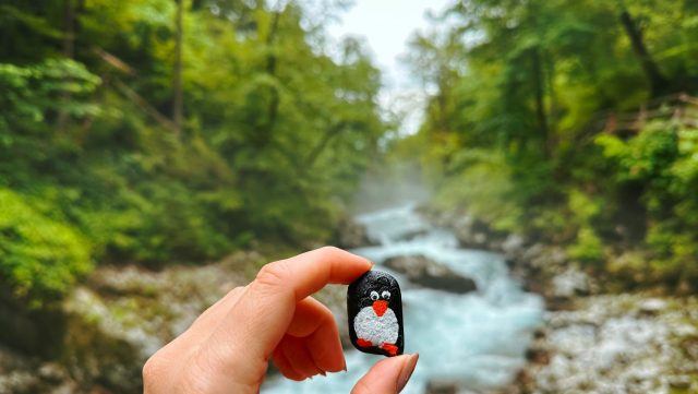 Hand-painted penguin stone #152 hidden at Vintgar Gorge, Gorje, Slovenia
