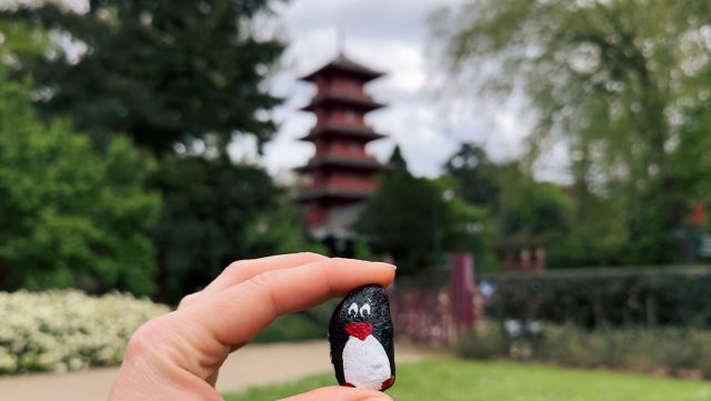 Hand-painted penguin stone #175 hidden at Museums of the Far East, Brussels, Belgium