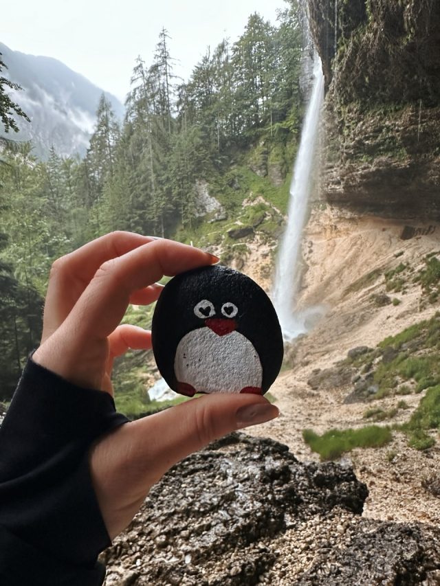 Hand-painted penguin stone #187 hidden at Slap Pericnik, Mojstrana, Slovenia (photo 2 of 5)