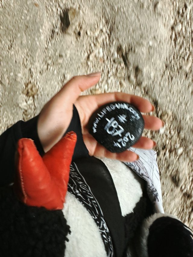 Hand-painted penguin stone #187 hidden at Slap Pericnik, Mojstrana, Slovenia (photo 3 of 5)