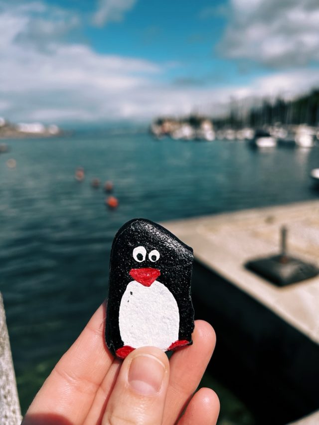 Hand-painted penguin stone #191 hidden at Omisalj, Omisalj, Croatia (photo 5 of 5)