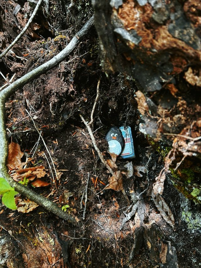 Hand-painted penguin stone #201 hidden at Slap Mostice, Voje Valley, Slovenia (photo 2 of 5)
