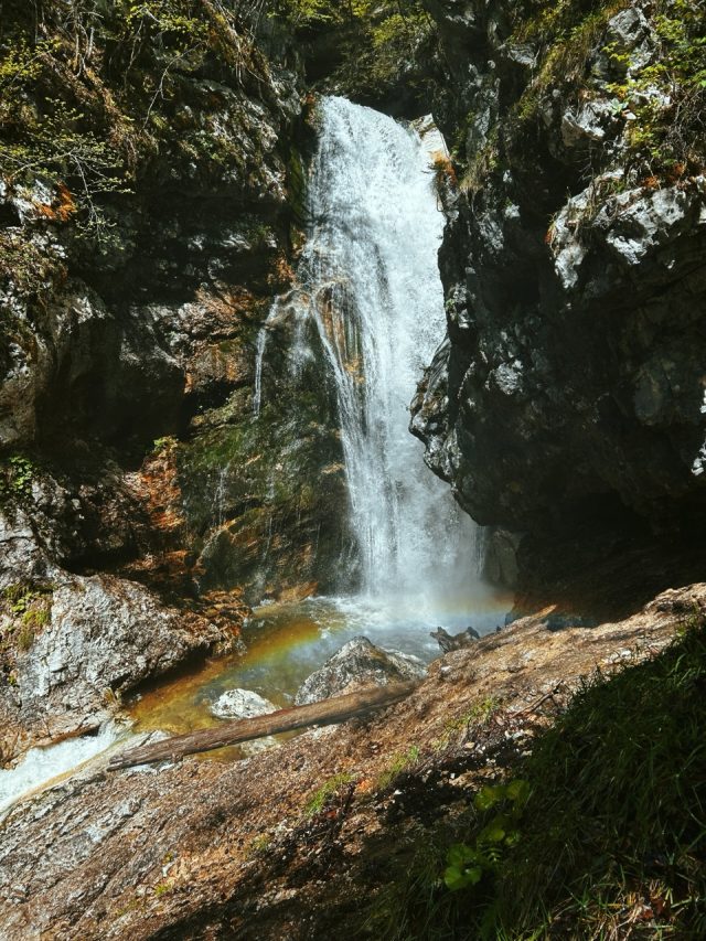 Hand-painted penguin stone #201 hidden at Slap Mostice, Voje Valley, Slovenia (photo 3 of 5)