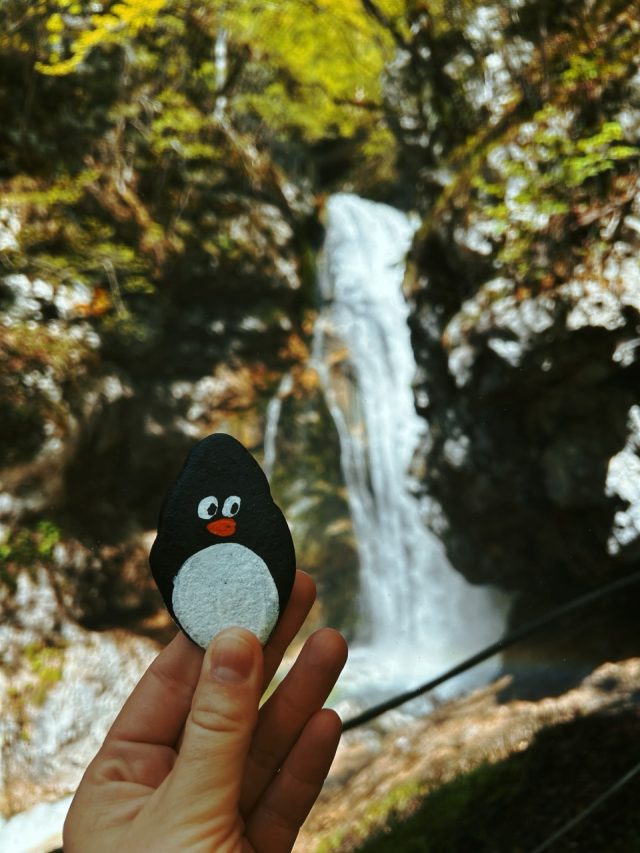 Hand-painted penguin stone #201 hidden at Slap Mostice, Voje Valley, Slovenia (photo 4 of 5)