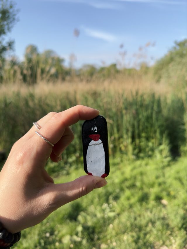 Hand-painted penguin stone #227 hidden at Vondelpark, Amsterdam, Netherlands (photo 2 of 5)