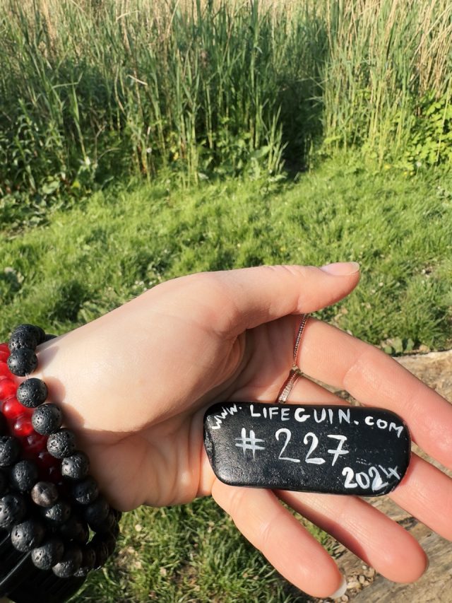 Hand-painted penguin stone #227 hidden at Vondelpark, Amsterdam, Netherlands (photo 4 of 5)
