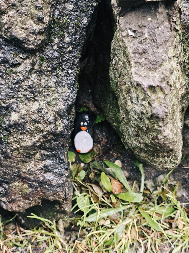Hand-painted penguin stone #228 hidden at Dugald Stewart Monument, Edinburgh, United Kingdom (photo 2 of 5)