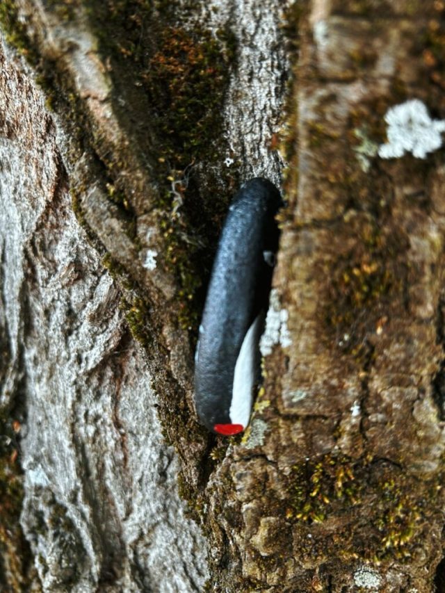 Hand-painted penguin stone #233 hidden at Love Garden, Metz, France (photo 5 of 5)