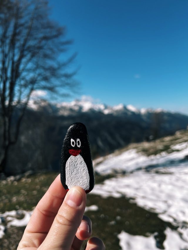 Hand-painted penguin stone #235 hidden at Vogel Ski Resort, Ukanc, Slovenia (photo 4 of 5)