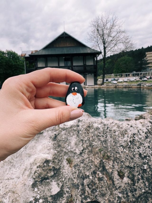 Hand-painted penguin stone #244 hidden at Krater, Vysne Ruzbachy, Slovakia (photo 2 of 5)