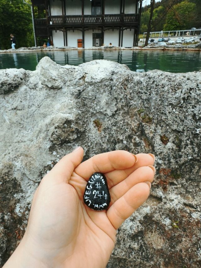 Hand-painted penguin stone #244 hidden at Krater, Vysne Ruzbachy, Slovakia (photo 3 of 5)