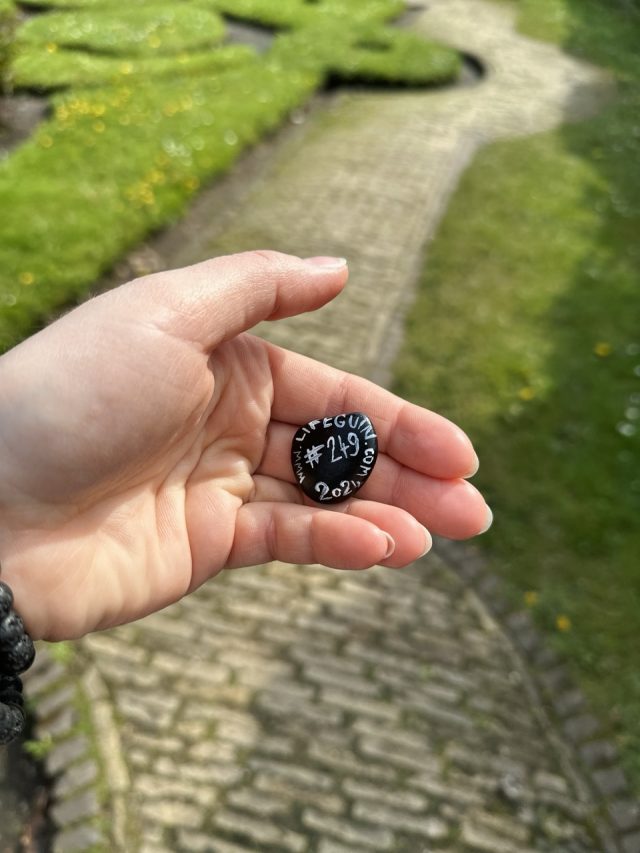 Hand-painted penguin stone #249 hidden at Zonnewijzerspad, Zaanse Schans, Netherlands (photo 3 of 5)