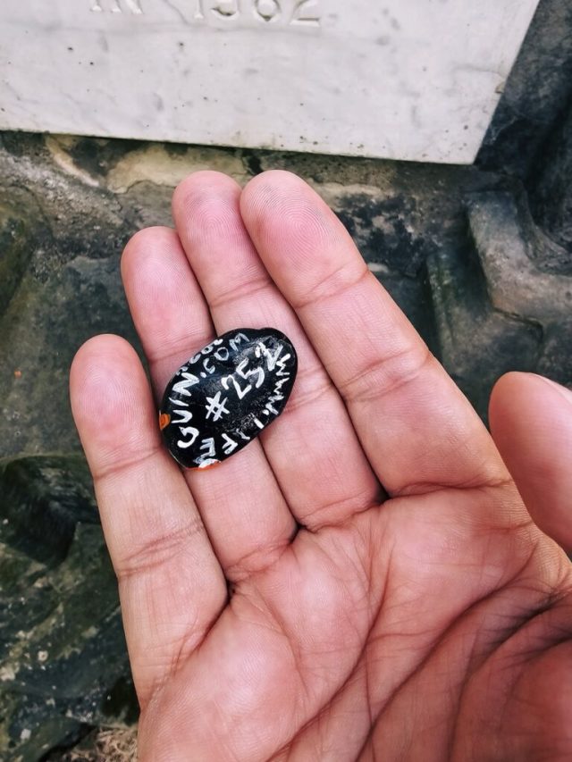 Hand-painted penguin stone #252 hidden at Glasgow Cathedral, Glasgow, United Kingdom (photo 2 of 4)