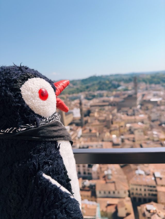Hand-painted penguin stone #255 hidden at Bell Tower, Florence, Italy (photo 4 of 5)