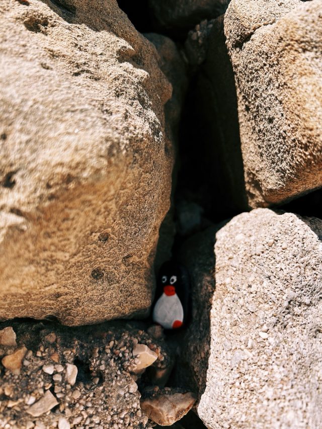 Hand-painted penguin stone #259 hidden at Stone Wall, Baska, Croatia (photo 3 of 5)