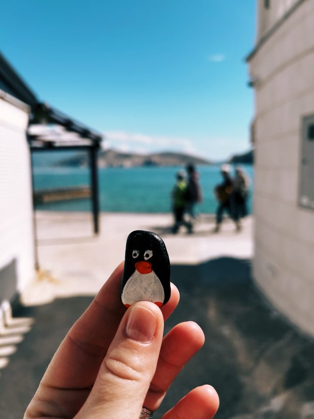 Hand-painted penguin stone #259 hidden at Stone Wall, Baska, Croatia (photo 5 of 5)