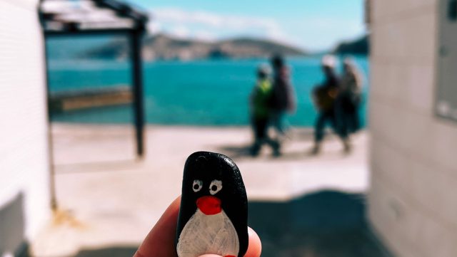 Ručne maľovaný tučniakový kameň č. 259 ukrytý na mieste Stone Wall, Baška, Chorvátsko