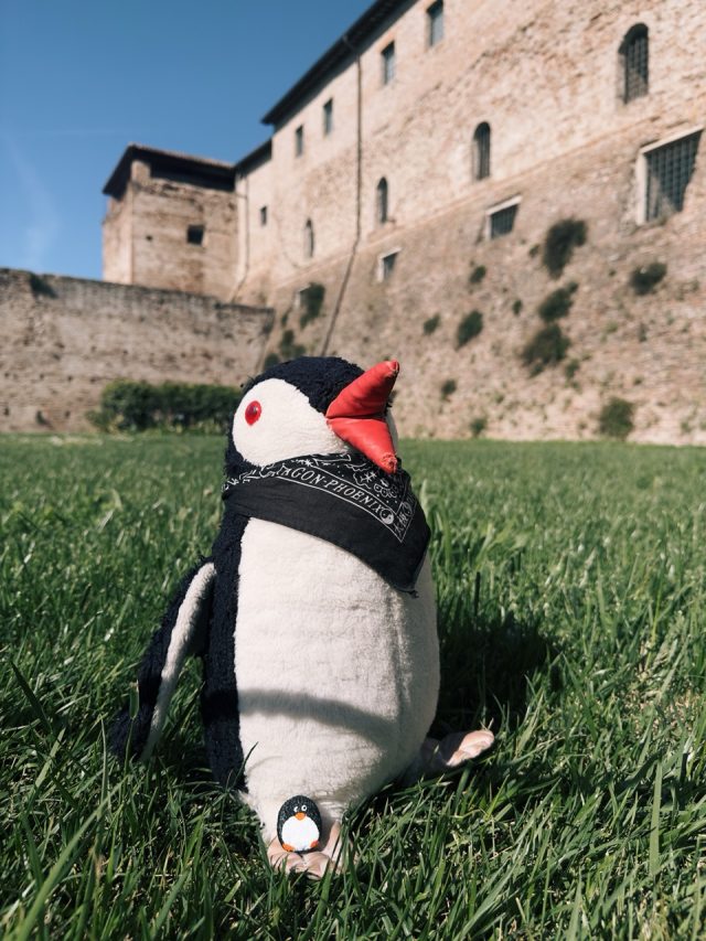 Hand-painted penguin stone #260 hidden at Castel Sismondo, Rimini, Italy (photo 2 of 5)